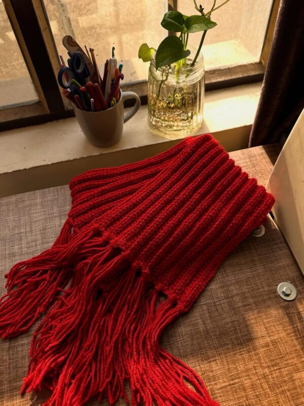 cache col mikasa ref/a94