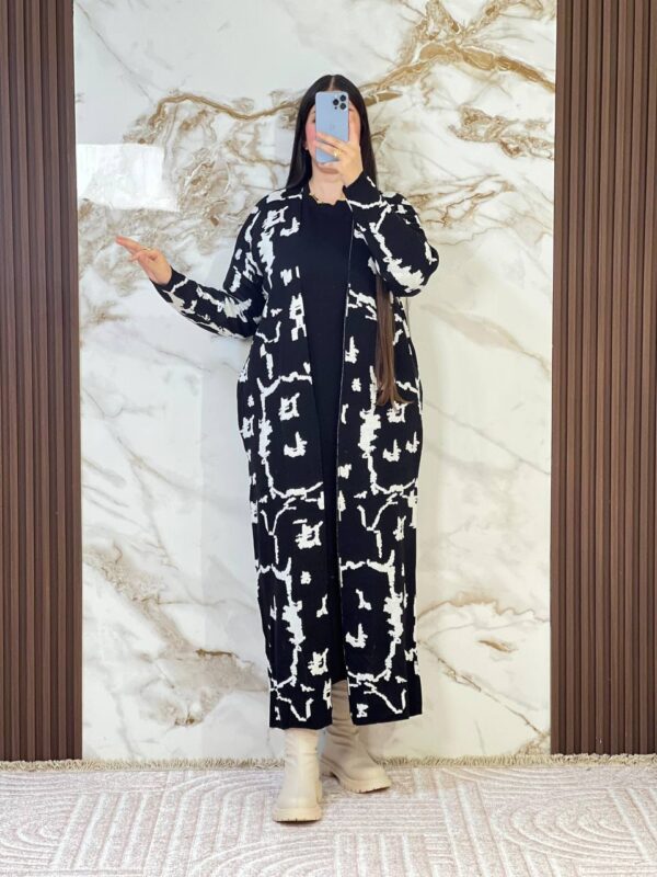 (ensemble miral (ref/b95