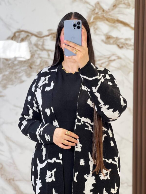 (ensemble miral (ref/b95